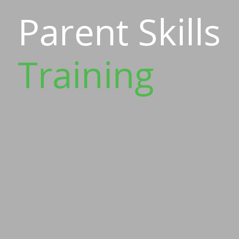 Parent Skills Training