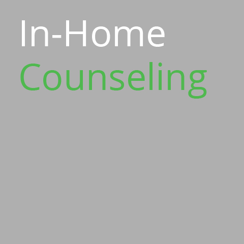 In-home Counseling