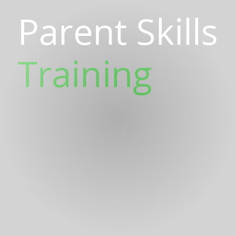 Parent Skills Training