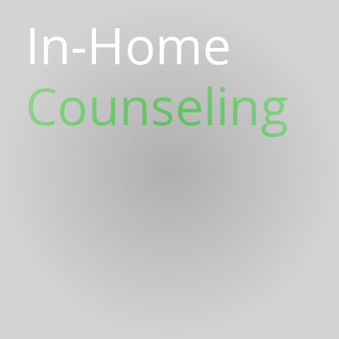 In-home Counseling